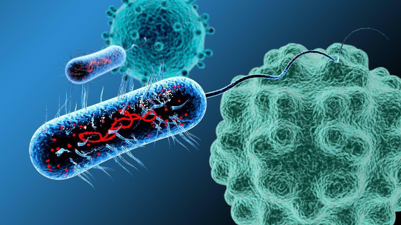 k药联合化疗治疗胰腺癌_贝伐单抗与K药联合治疗肝癌_贝伐单抗是靶向药吗