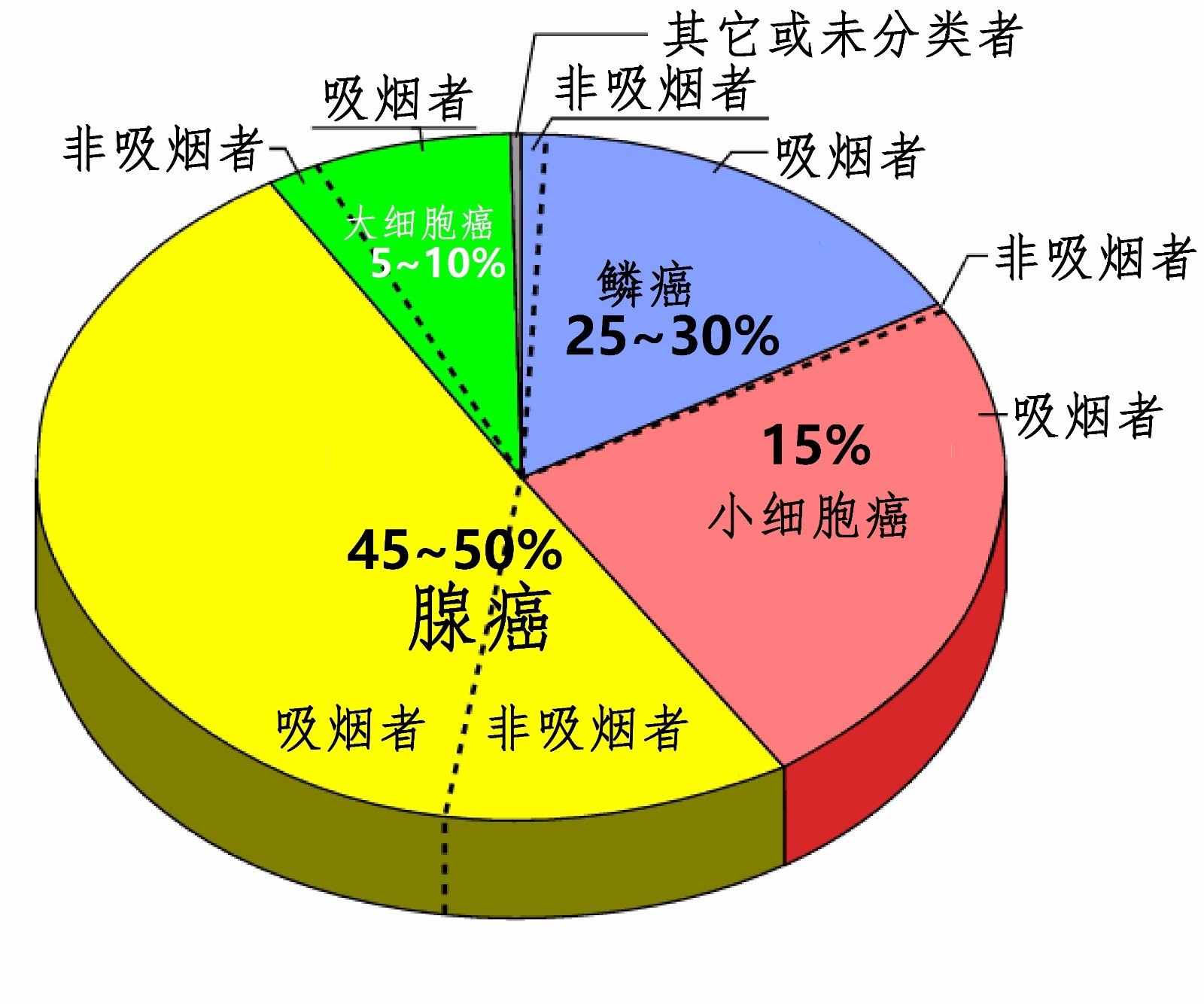 贝伐珠单抗靶向是啥_中晚期肺腺癌用贝伐珠单抗_结肠癌晚期 贝伐珠单抗