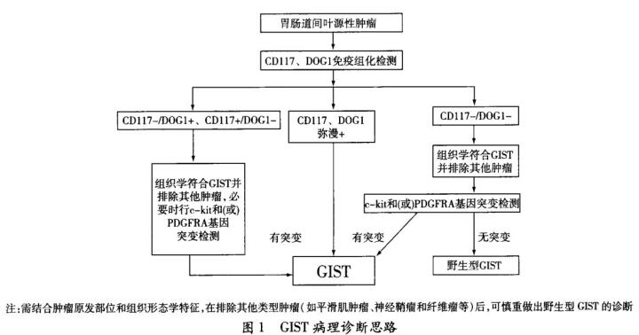 索拉非尼/治疗应用_索拉非尼治肺癌_索拉非尼要做基因检测么