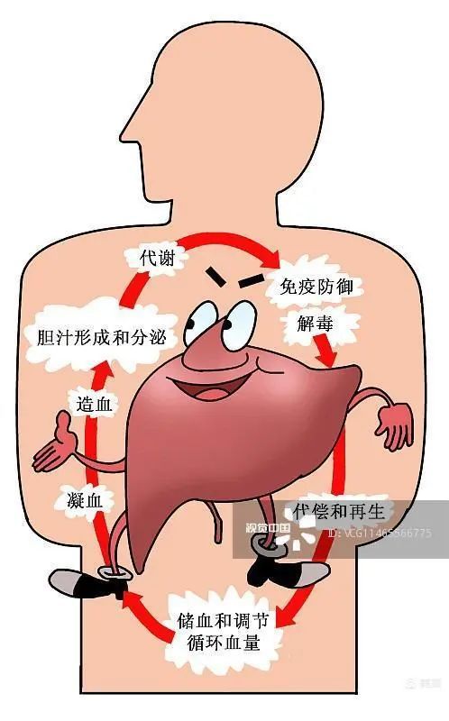 手术后肝细胞癌能吃索拉非尼_胆管细胞癌手术成功率_肝肉瘤样癌能治愈吗