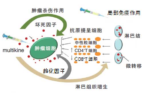 贝伐单抗是靶向药吗_贝伐单抗在妇科肿瘤用于_贝伐珠单抗4个月后赠药