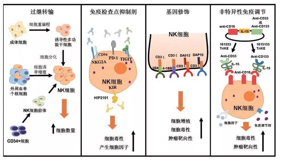 贝伐珠单抗用于啥基因突变_贝伐珠单抗_贝伐珠单抗价格