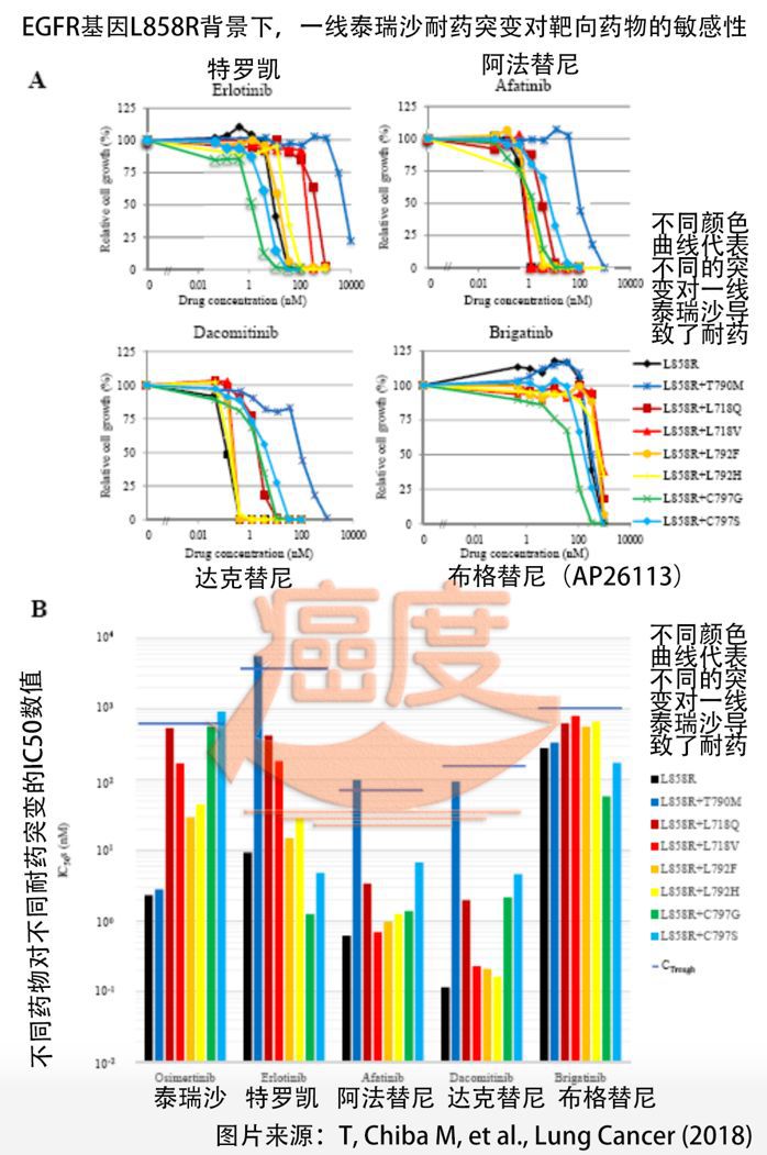 吉非替尼缺货_吉弗尼冻干粉停用后_尼毕鲁杨祥吉的妻子