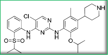 门诊特殊病报销_特殊门诊拿奥希替尼多少钱_肾衰竭 特殊门诊 认定标准