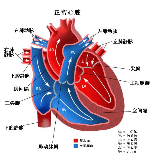 贝伐珠单抗不良反应_贝伐珠单抗的副作用_贝伐珠单抗治疗乳腺效果好不好