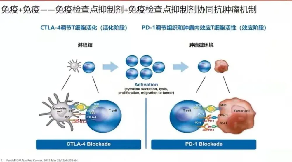 贝伐单抗时间限制_贝伐珠单抗价格_贝伐单抗印度版