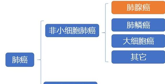 肺腺癌吉非替尼已耐药怎么办_什么是肺乳头状腺癌_什么是肺原位腺癌