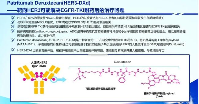 奥希替尼都有哪里产的_9291奥希替尼价格_9291奥希替尼肾脏有伤害