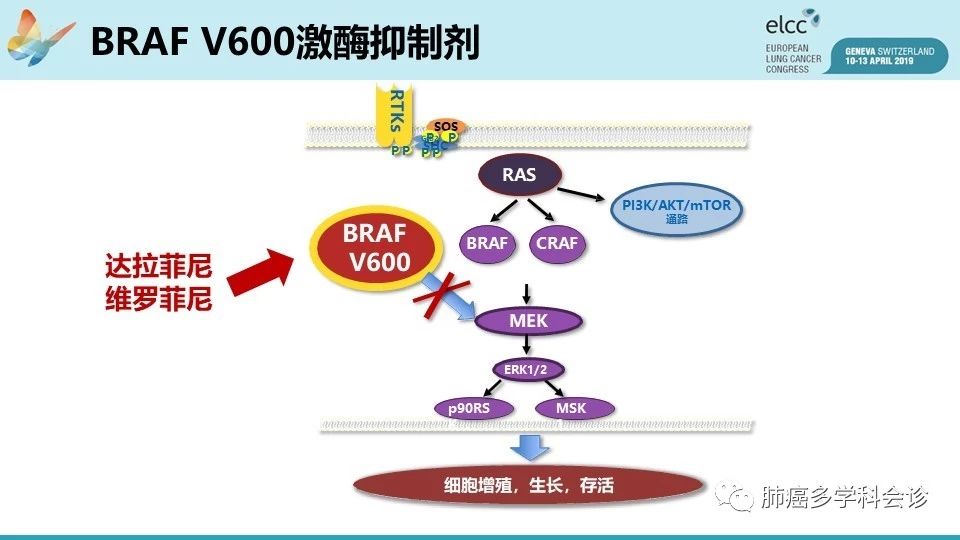 贝伐珠单抗价格_贝伐珠单抗也是药物治疗吧_贝伐珠单抗不良反应