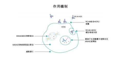 针剂靶向药贝伐珠单抗_贝伐珠单抗说明书_贝伐珠单抗可以报销吗