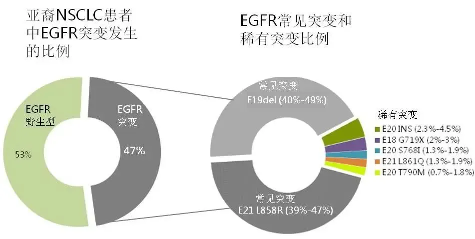 香港买奥希替尼多少钱_奥希替尼脑转移耐药时间_奥希替尼耐药时间多久