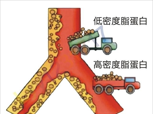 脑瘤用贝伐单抗是口服的吗_贝伐珠单抗可以报销吗_贝伐珠单抗是化疗吗