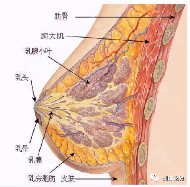 贝伐珠单抗多少钱一支_贝伐珠单抗与厄洛替尼联用_结肠癌晚期 贝伐珠单抗