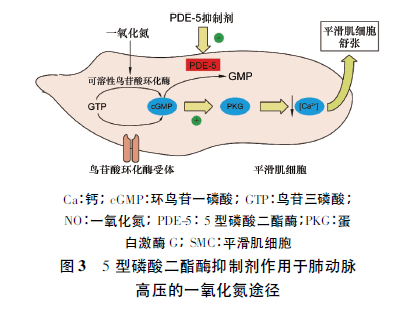 西妥昔单抗贝伐单抗_晚期的贝伐单抗能治好吗_贝伐单抗和贝伐珠单抗