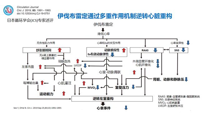 贝伐珠单抗报销的病_贝伐珠单抗报销后价格_贝伐珠单抗是化疗吗