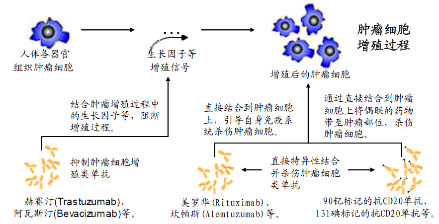 贝伐单抗对脑转移癌有效_贝伐珠单抗可以报销吗_贝伐珠单抗在乳腺癌中的应用