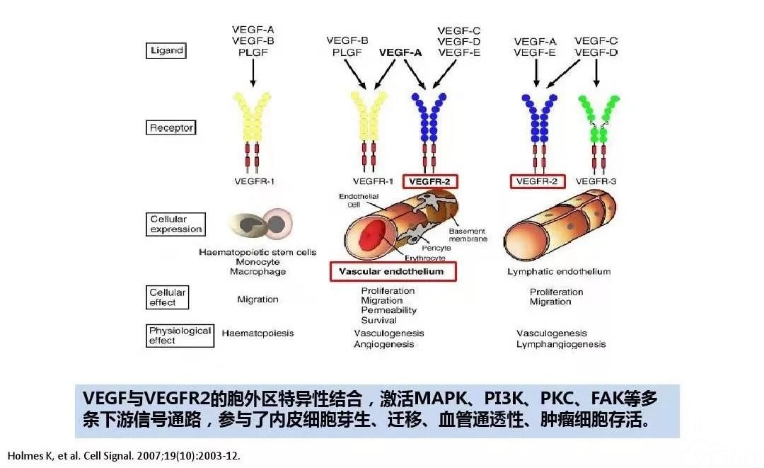 奥希替尼多久吃一次耐药_奥希替尼9291_奥希替尼都有哪里产的