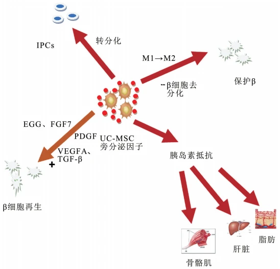 贝伐单抗-阿瓦斯汀大陆卖多少钱?_贝伐单抗失败怎么办_贝伐单抗印度版