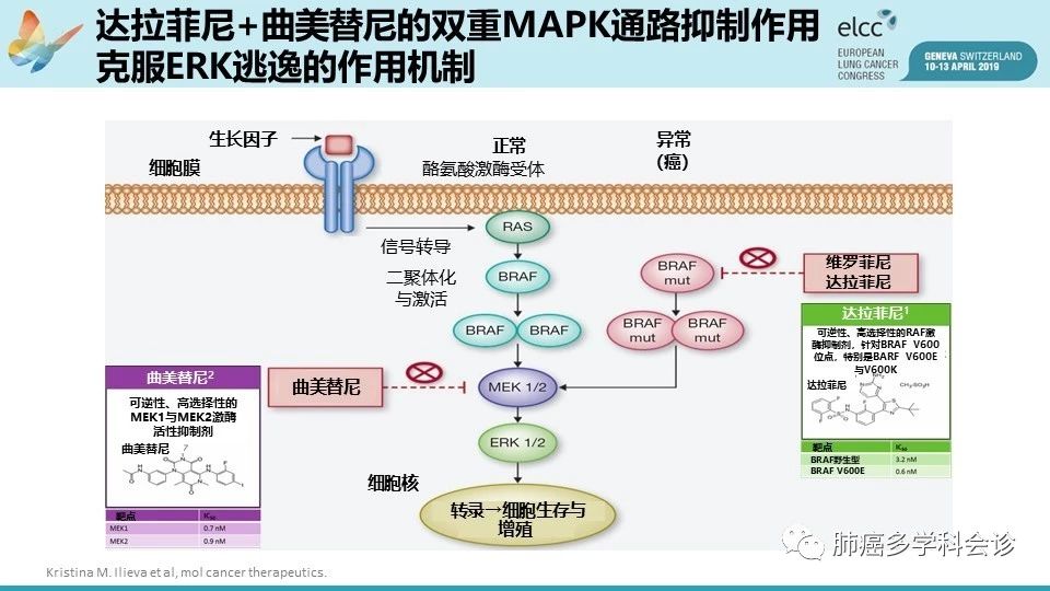 贝伐珠单抗是化疗吗_贝伐珠单抗是高危药品吗_贝伐珠单抗是化疗药吗