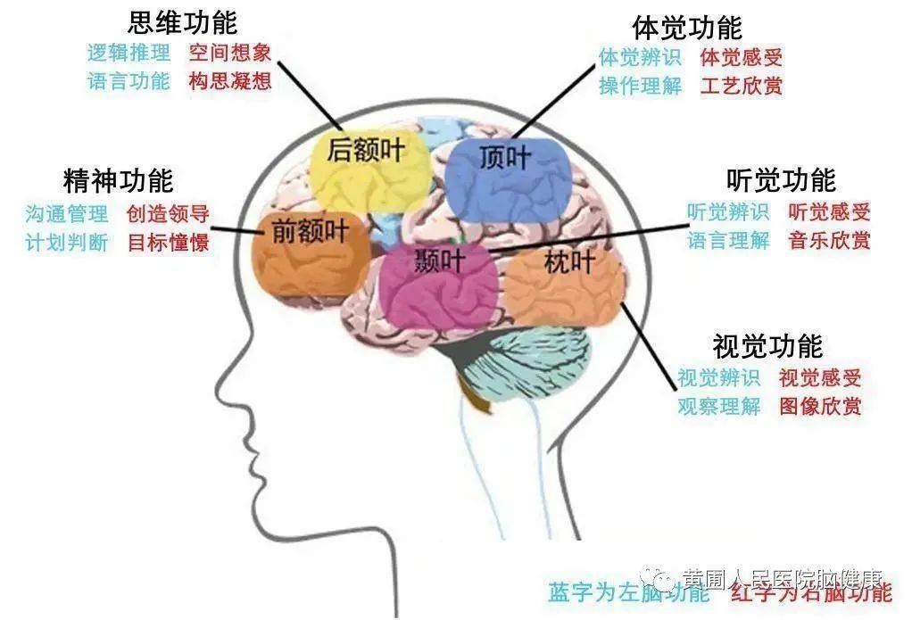 azd9291奥希替尼_防版的奥希替尼_奥希替尼9291哪里买