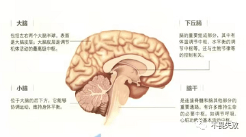 奥希替尼9291哪里买_防版的奥希替尼_azd9291奥希替尼