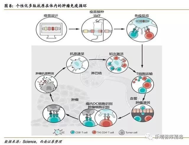 二代吉非替尼_尼毛吉幸福之歌视频_吉沃尼半岛军事基地