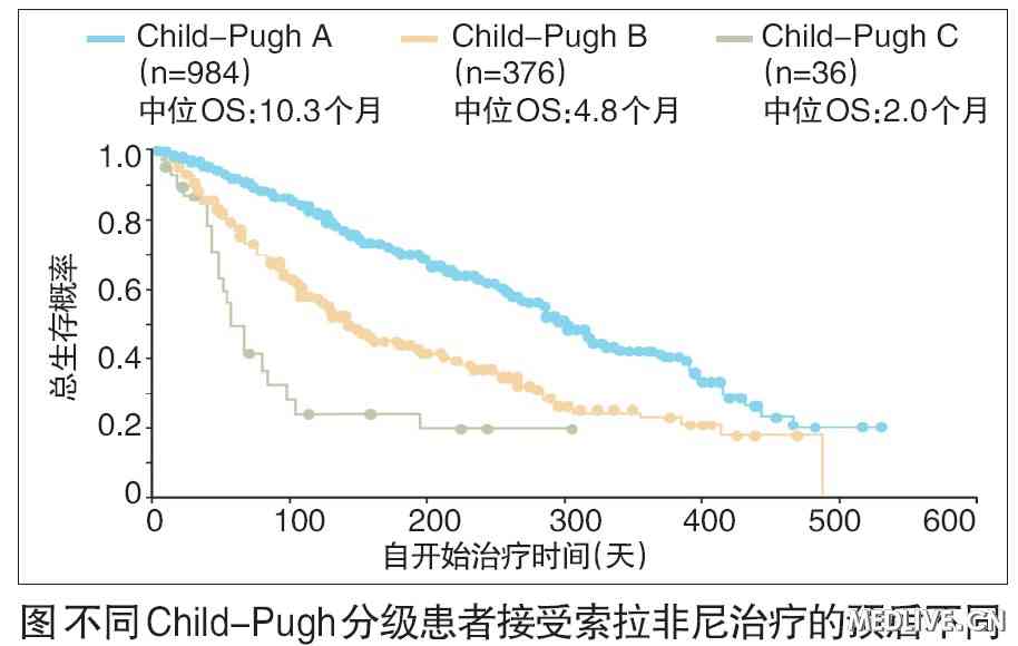 索拉非尼 印度_索拉非尼 舒尼替尼_索拉非尼临床使用