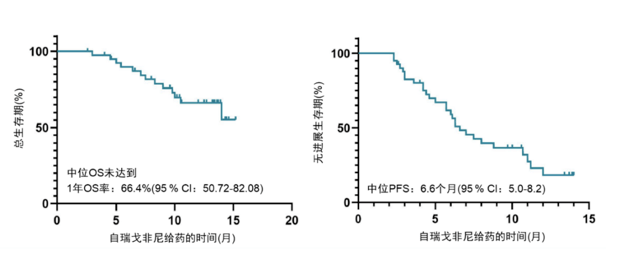 索拉非尼 舒尼替尼_索拉非尼临床使用_索拉非尼 印度