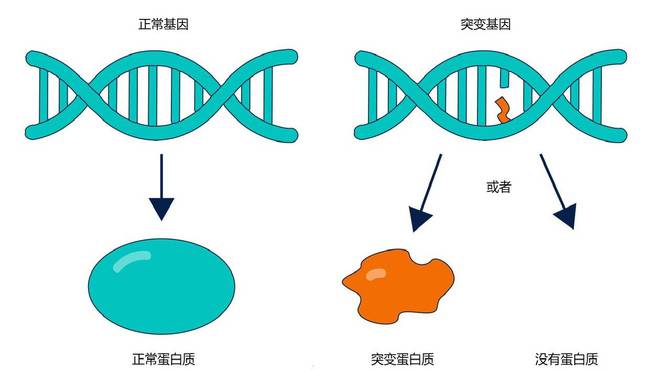 肝癌的晚期治疗_肝癌晚期 治疗_奥希替尼治疗肝癌晚期吗