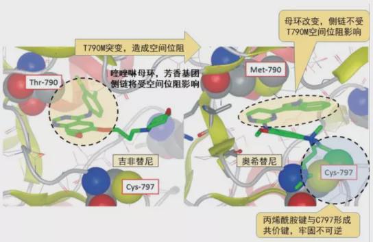 比克提尼与白英雄雷希拉姆日语_泰瑞沙奥希替尼医生说一次吃两粒_福州泰瑞希有限公司