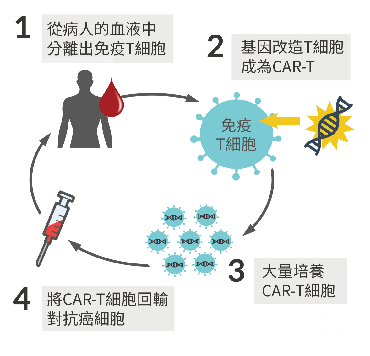 贝伐珠单抗白细胞1600_贝伐珠单抗赠药_贝伐珠单抗是化疗药吗