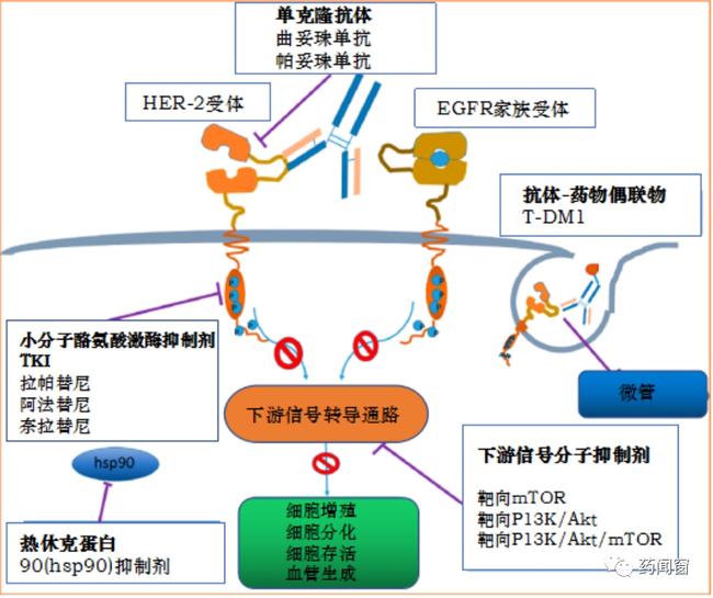 肝癌阿特珠单抗联合贝伐珠单抗_贝伐珠单抗的副作用_贝伐珠单抗价格