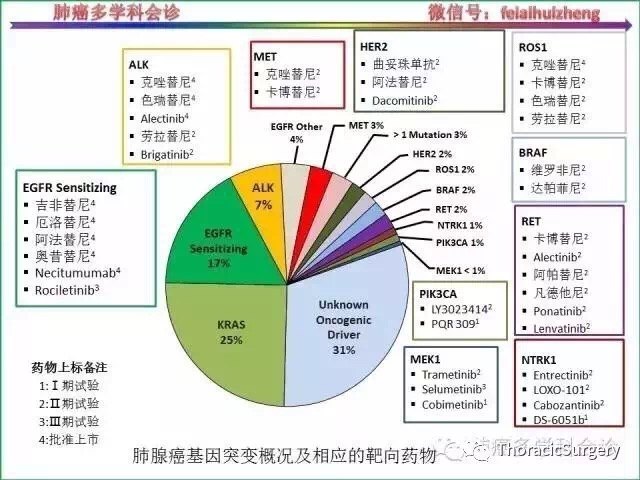 贝伐珠单抗的副作用_肝癌阿特珠单抗联合贝伐珠单抗_贝伐珠单抗价格