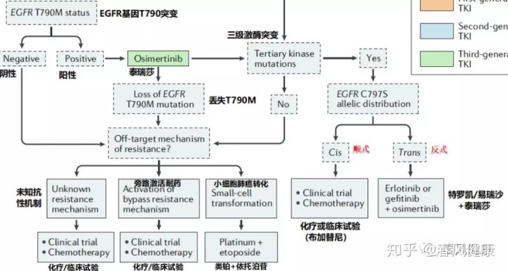 香港买奥希替尼多少钱_奥希替尼9291_第三代靶向药奥希替尼价格