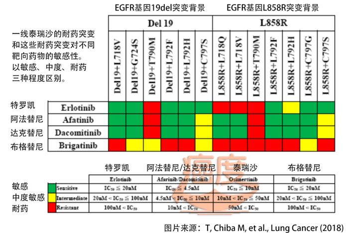 奥希替尼印度版怎么买_奥希替尼印度版多少钱_tp53突变对奥希替尼耐药