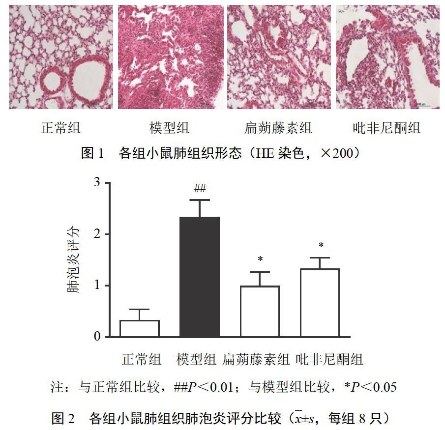 贝伐珠单抗是化疗吗_贝伐珠单抗治疗肺腺癌_贝伐单抗治疗间皮瘤的用量