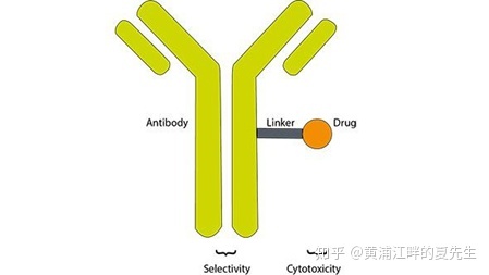 贝伐珠单抗价格_贝伐单抗能治黄斑变性吗_贝伐珠单抗可以报销吗