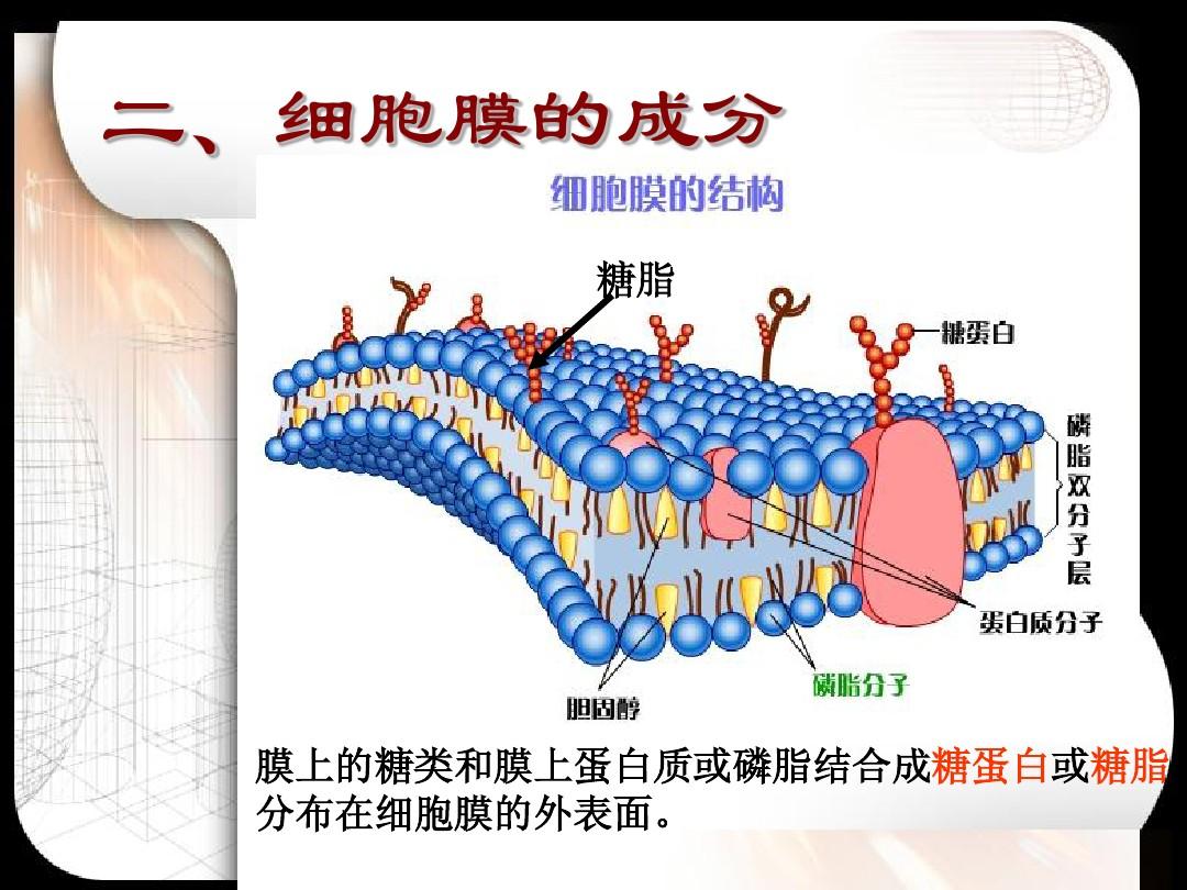 最新肿瘤靶向药 fda_肾肿瘤靶向药索拉非尼_肿瘤靶向药贵吗