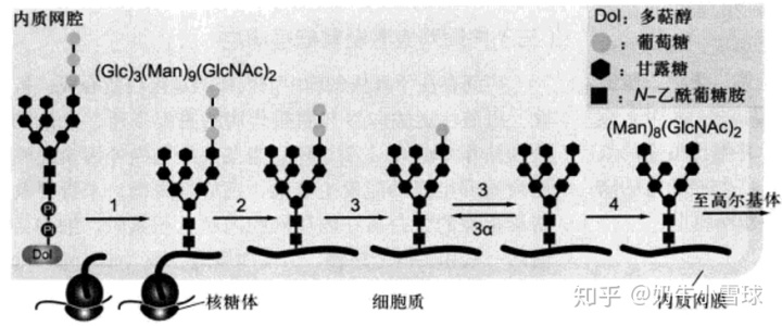 最新肿瘤靶向药 fda_肾肿瘤靶向药索拉非尼_肿瘤靶向药贵吗