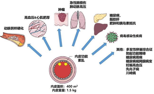 贝伐珠单抗不良反应_贝伐单抗-阿瓦斯汀大陆卖多少钱?_贝伐单抗鳞癌