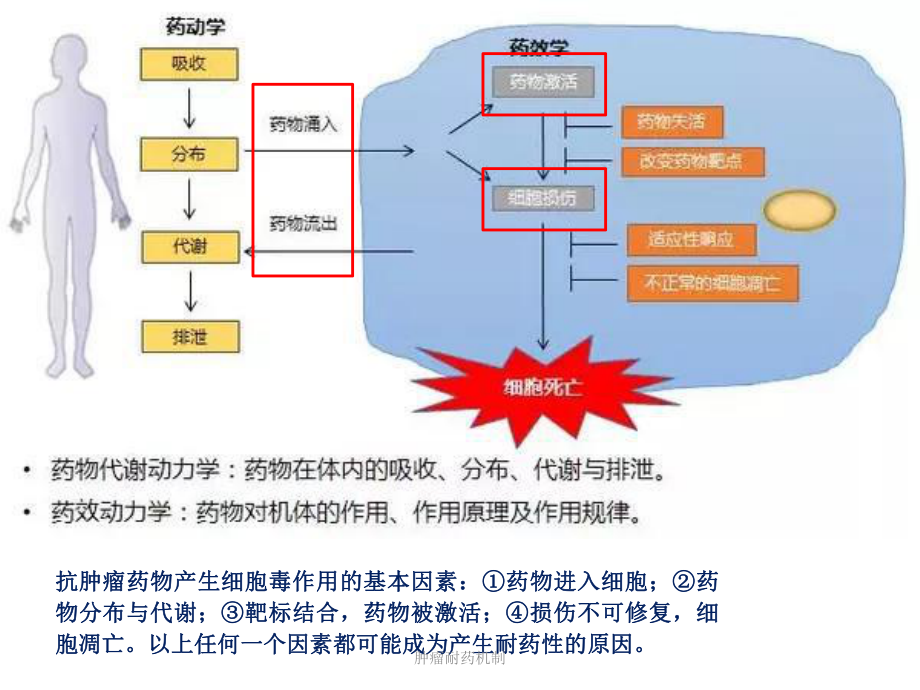 吉非替尼耐药性症状_克唑替尼5年没耐药_克唑替尼耐药转让赠药