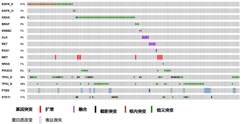 奥希替尼耐药基因检测19突变_基因检测报告 突变百分比_奥希替尼耐药后第四代靶向药