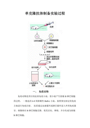 贝伐珠单抗是化疗吗_贝伐珠单抗说明_贝伐珠单抗说明书