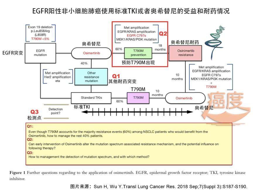 奥希替尼耐药基因检测19突变_乙肝病毒耐药基因检测解读_耐药基因检测