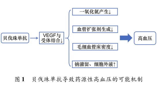 贝伐单抗灌注效果好吗_贝伐单抗-阿瓦斯汀大陆卖多少钱?_贝伐单抗多久起效果