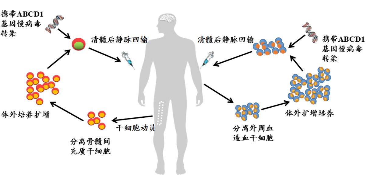 奥希替尼适应哪种肺癌_9291奥希替尼价格_奥希替尼都有哪里产的