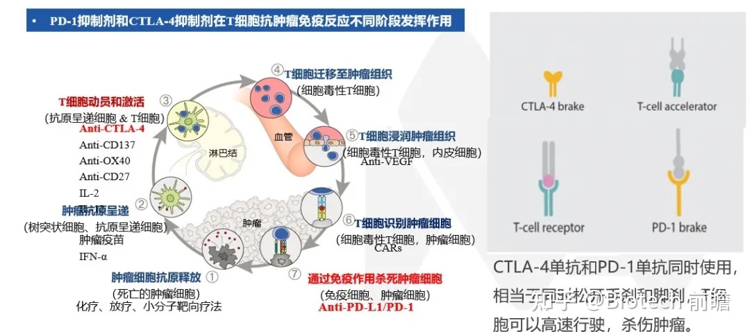 贝伐单抗多少钱拿赠药_贝伐单抗和贝伐珠单抗_胃癌靶向药贝伐单抗