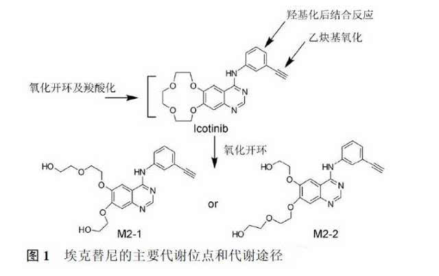 对奥希替尼耐药的肺癌细胞珠_奥斯替尼和奥希替尼_奥希替尼9291