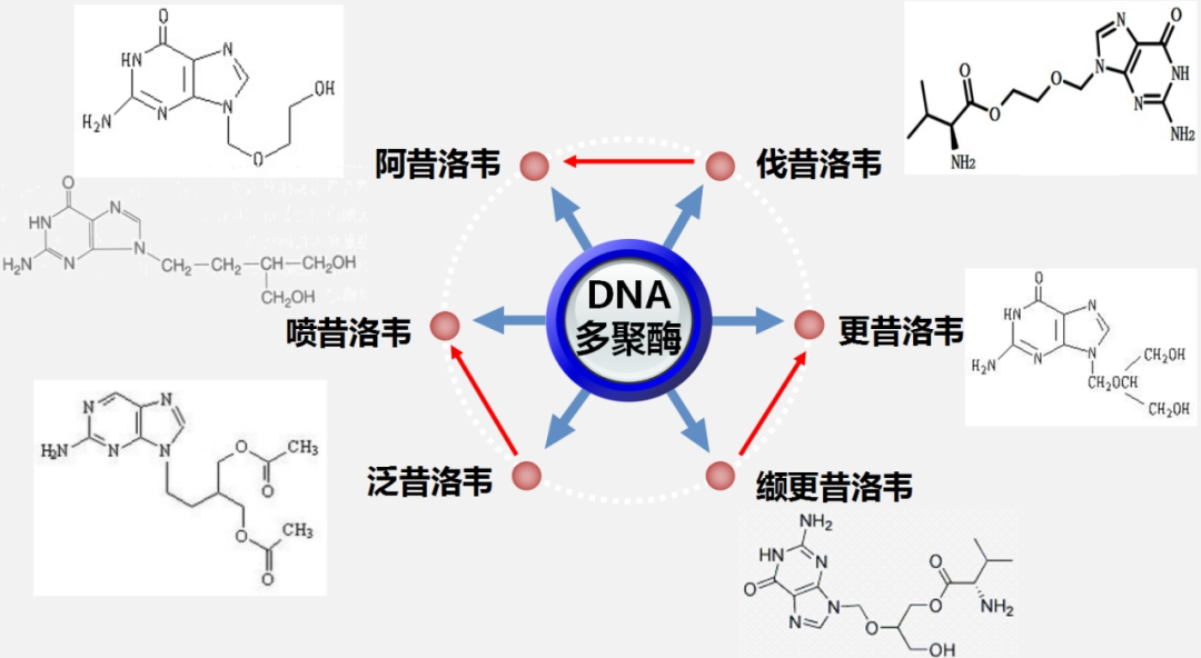 贝伐珠单抗多少钱一只_贝伐单抗和雷珠单抗的历史_贝伐珠单抗不良反应