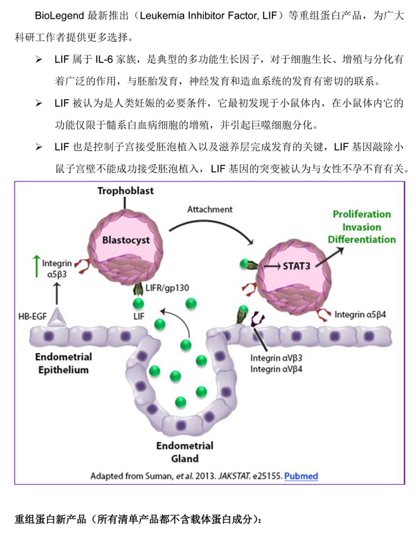 肺癌细胞h1299特点_鳞状细胞肺癌能活多久_吉非替尼对小细胞肺癌有效果吗